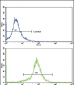 SOD3 Antibody (N-term)