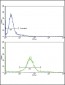 PAX8 Antibody (Center)