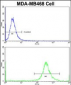 GALT Antibody (C-term)