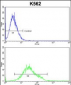 GTF2I Antibody (C-term)