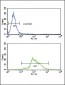 HADHA Antibody (C-term)