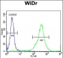 FAM3B Antibody (N-term)