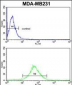 FMO3 Antibody (N-term)