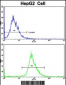 RPS15 Antibody (N-term)