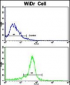 TPH1 Antibody (N-term)