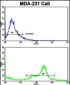 C6 Antibody (N-term)