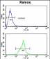 Neprilysin Antibody (C-term)