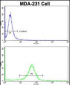 RANBP9 Antibody (Center)