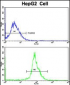 LTA Antibody (Center)