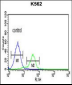 TRAP Antibody (C-term)