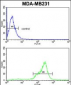 TBC1D4 Antibody (N-term)