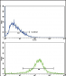 LRPAP1 Antibody (C-term)