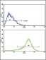 PIGR Antibody (C-term)