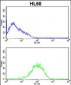 PSMB9 Antibody (C-term)