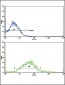 ADH5 Antibody (Center)