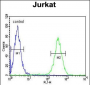 HNRPL Antibody (Center)