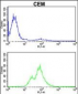 PRKCA Antibody (N-term)