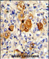 C5 Antibody (N-term)