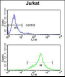 SPRED1 Antibody