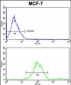 GABARAPL2  Antibody