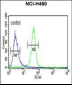 AKT2 Antibody