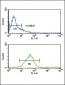 PCSK9 Antibody (N-term)