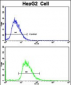 CYP2J2 Antibody (N-term)