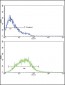 IL8 Antibody (C-term)