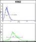 PTK2 Antibody (C-term)