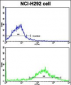 MLX Antibody (Center)