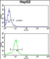 CYP2E1 Antibody (C-term)