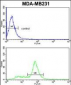 CAV2 Antibody (N-term)