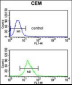 ITGB3 Antibody (C-term)