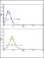 ATF6 Antibody (Center)