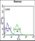 TBATA Antibody (C-term)