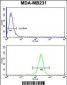 NCF1C Antibody (C-term)