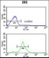 TSPAN12 Antibody (C-term)
