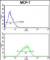 DERL2 Antibody (C-term)