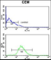 HSPA6 Antibody (C-term)
