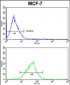 MDFIC Antibody (N-term)
