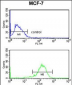 IL10RA Antibody (Center)