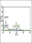 DCI Antibody (C-term)