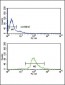 DCT Antibody (N-term)