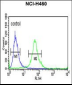 ITGBL1 Antibody (Center)