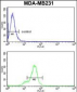 CD24 Antibody (N-Term)