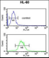 IGH Antibody (C-Term)