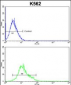 PPID Antibody (N-term)