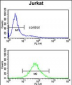 CCR3 Antibody (Center)