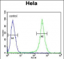 ASPSCR1 Antibody (C-term)