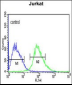 CANT1 Antibody (N-term)